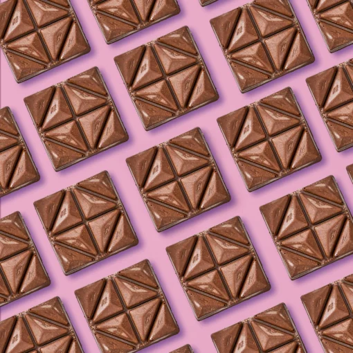 buy Funguy mushroom chocolate bars
