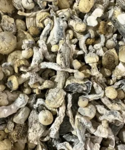 Buy A3 Magic Mushrooms Online