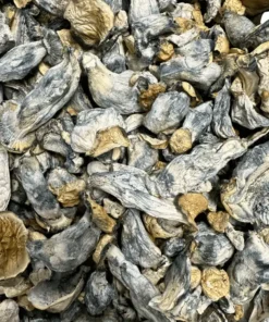 Buy APE Revert Magic Mushrooms Online