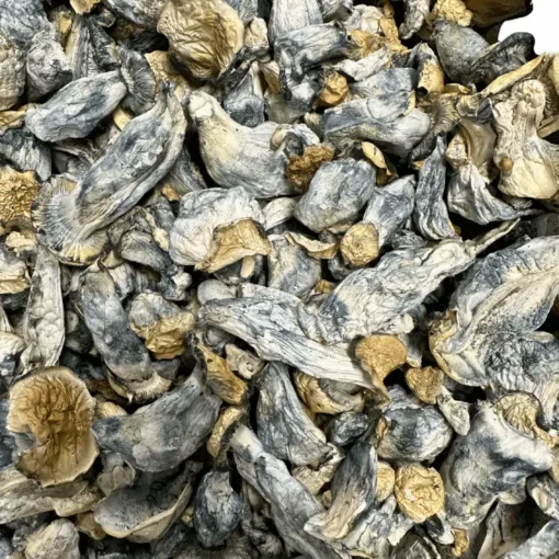 Buy APE Revert Magic Mushrooms Online