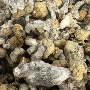 Buy Bluey Vuitton Magic Mushrooms Online
