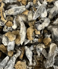 Buy Penis Envy Magic Mushroom Online