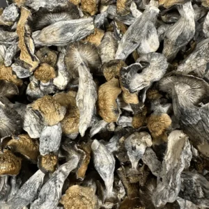 Buy Penis Envy Magic Mushroom Online