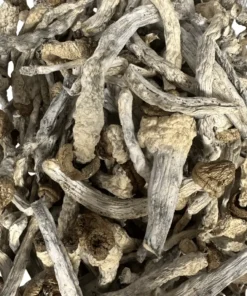 Buy Slim Shady Magic Mushrooms Online