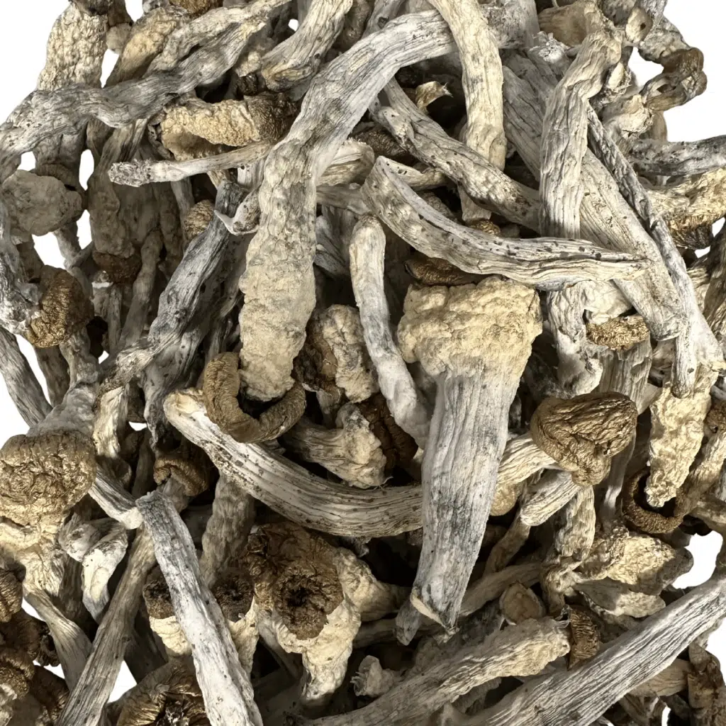 Buy Slim Shady Magic Mushrooms Online