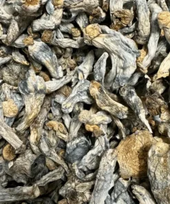 Buy TWAPE (Tidal Wave x APE) Magic Mushrooms