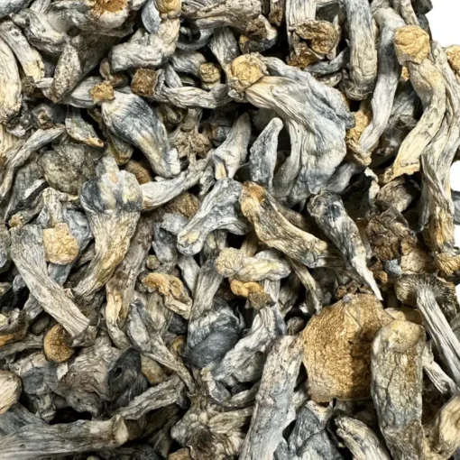 Buy TWAPE (Tidal Wave x APE) Magic Mushrooms