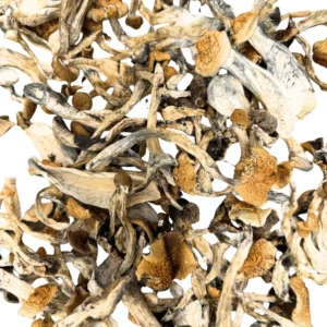 Buy Golden Teacher Mushrooms Online