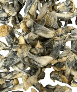 Buy Albino Jedi Mindfuck Mushrooms
