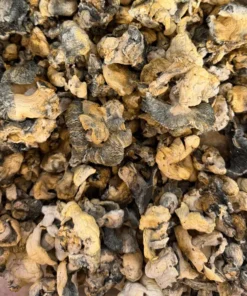 Buy Blue Voodoo Magic Mushrooms