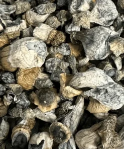 Buy Jack Frost Magic Mushrooms Buy Jack Frost Magic Mushrooms